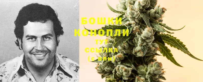 МАРИХУАНА OG Kush  Княгинино 